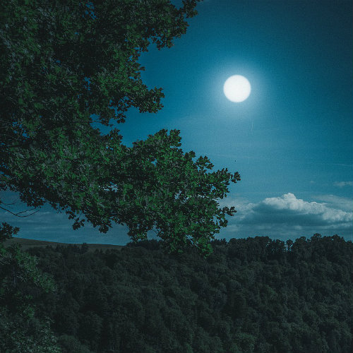 Dalle stelle alle stalle Dalle stelle alle stalle