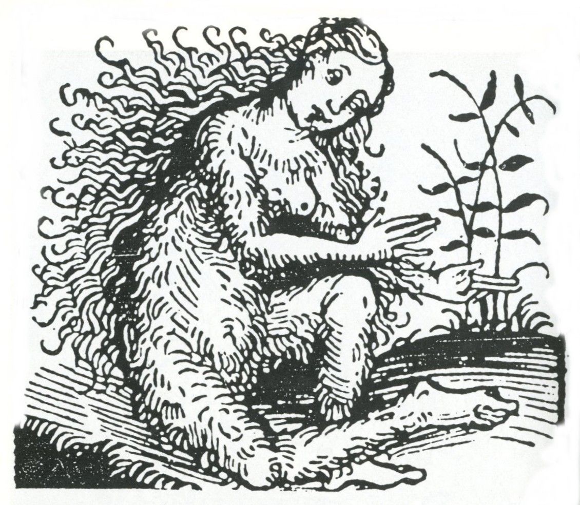 Donna selvatica, incisione del XVI secolo