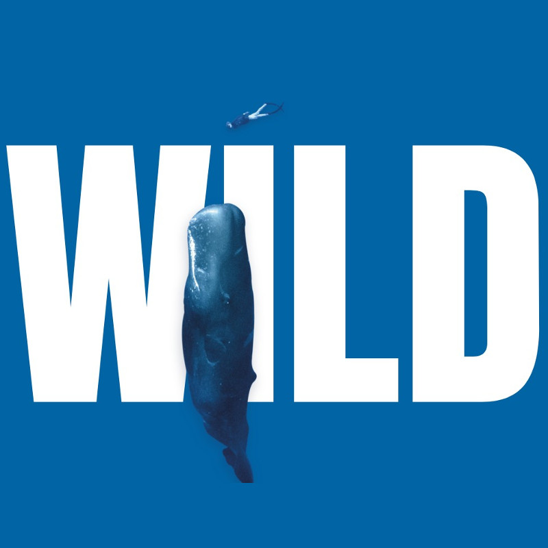 Wild. European Wildlife Photographer of the Year