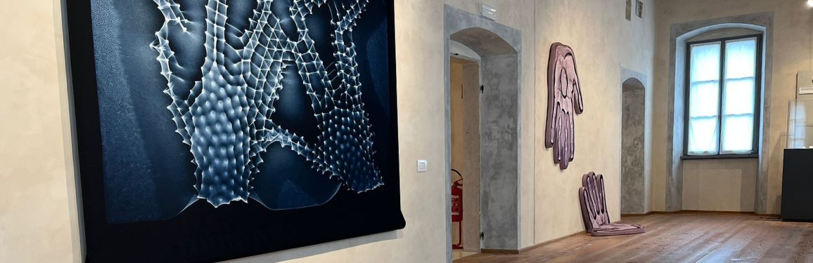 mostra naturalia artificialia