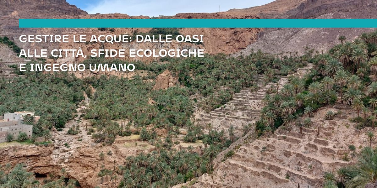 Gestire le acque