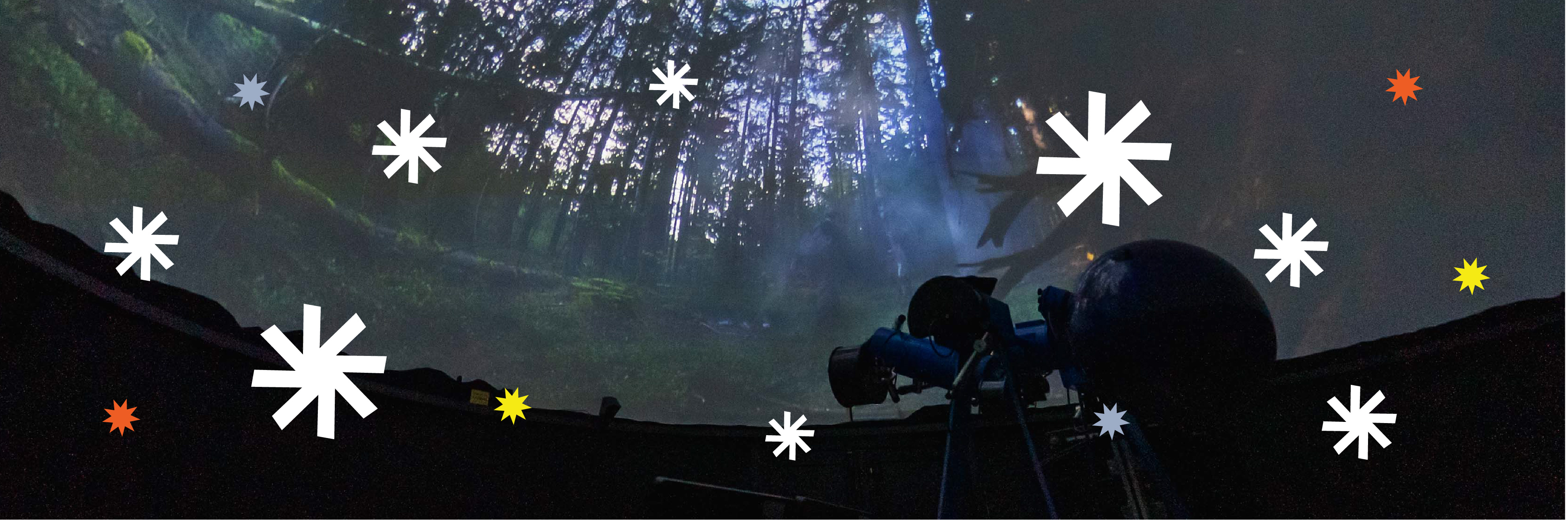 Natale al Museo 2025