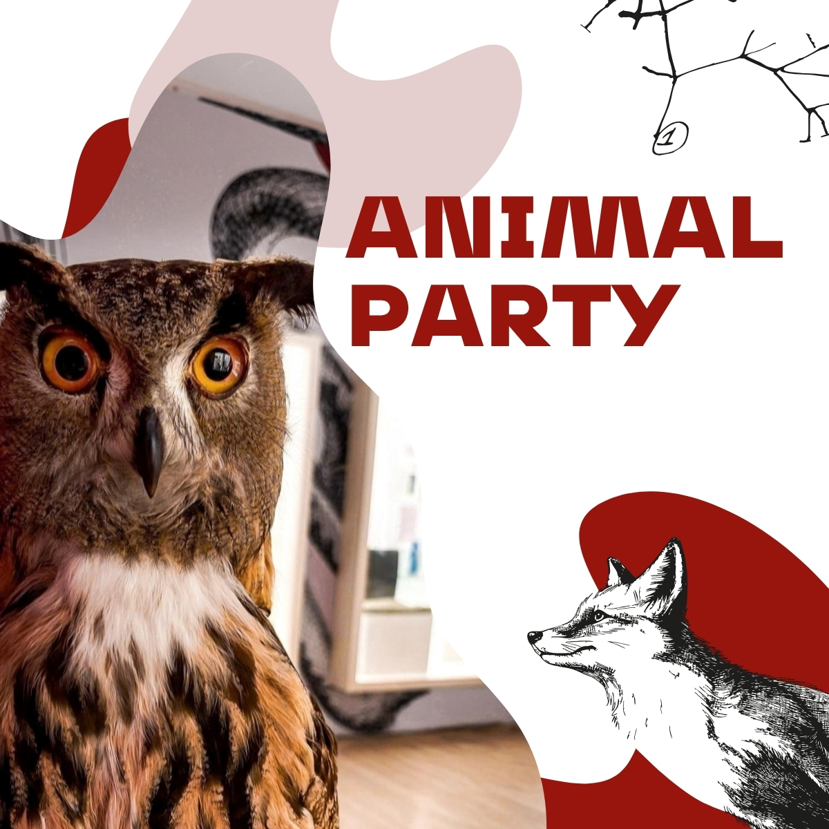 Animal_Party_evento