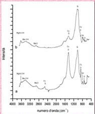 Spettro infrarosso relativo al sedimento tale e quale (a) e al residuo del sedimento dopo trattamento con NH2OHHCI 0.04M in C3COOH al 25% (b)